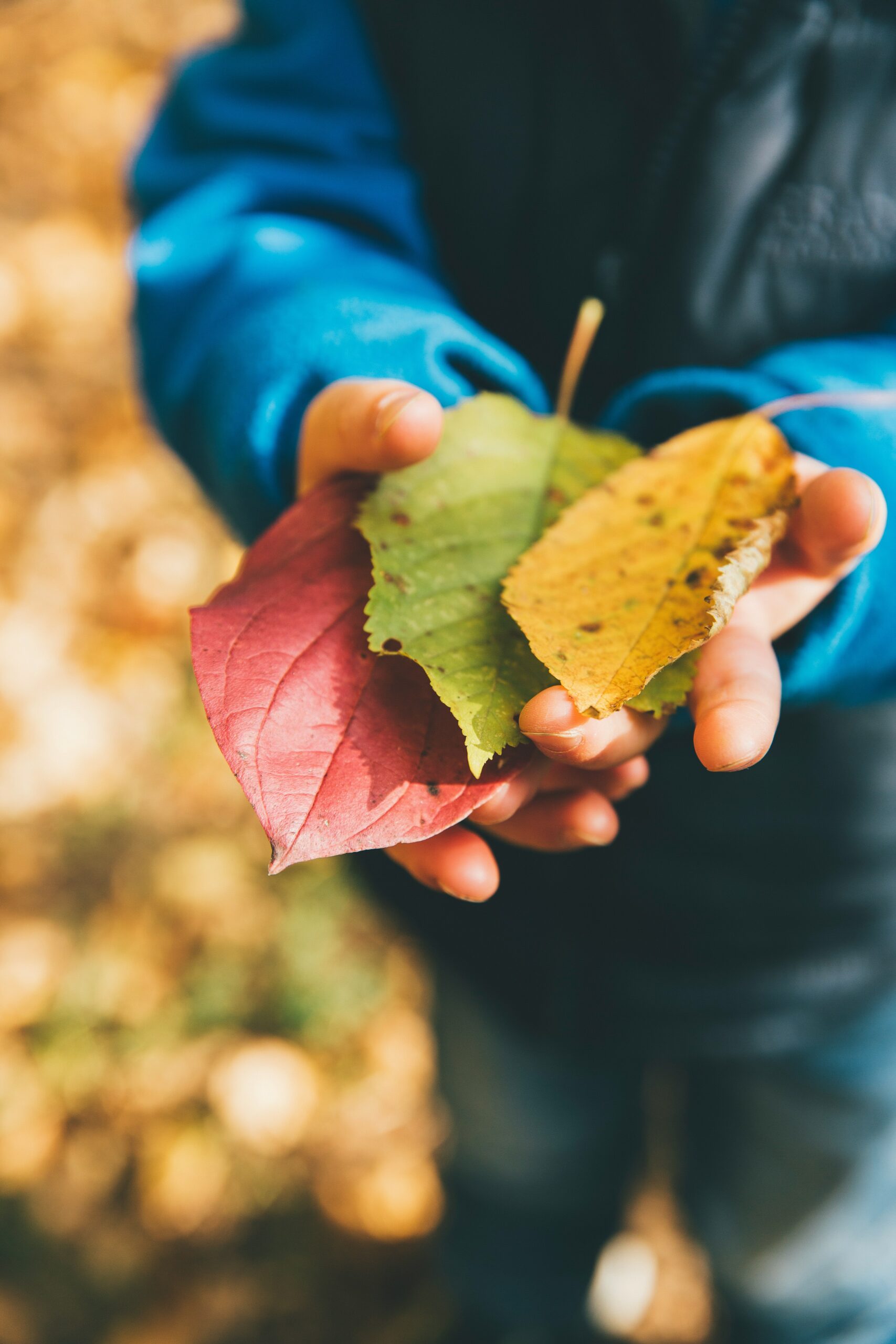 Consulenza per la progettazione di uno spazio per l’outdoor education