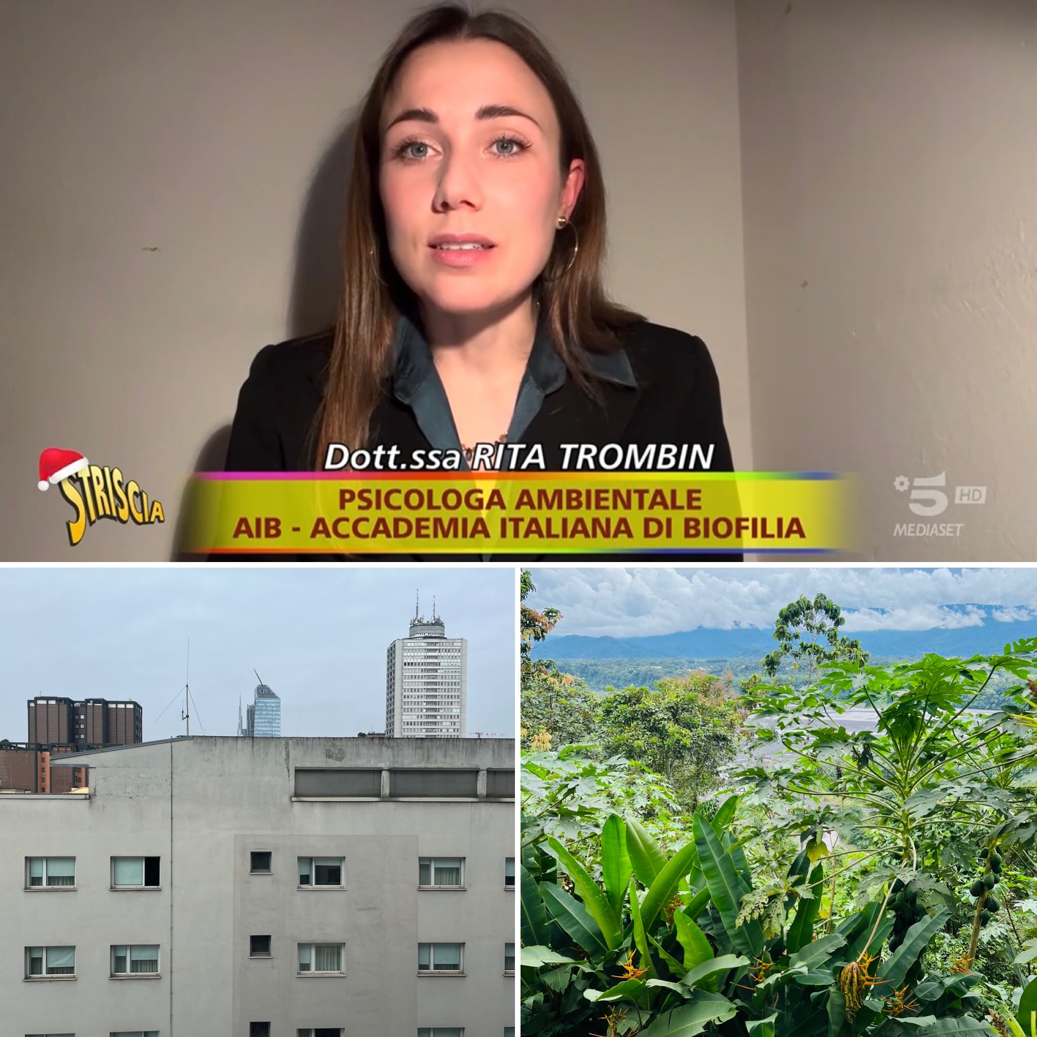 STRISCIA LA NOTICE : "Ambiente Ciovani" et les chiffres du vert dans la ville