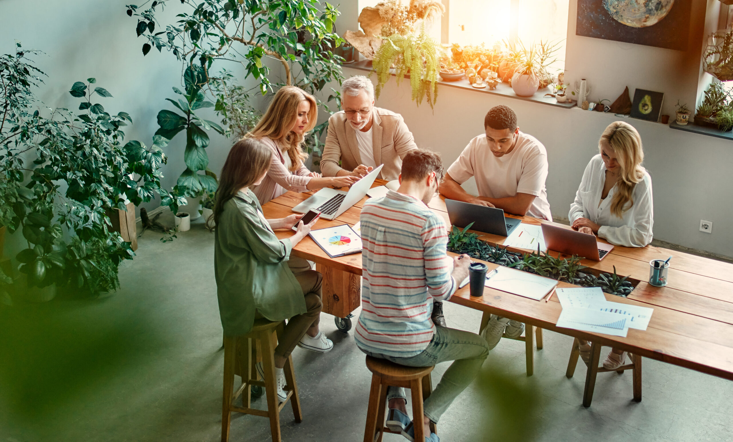 Corso Introduttivo alla Biofilia, Biophilic Design e Psicologia Ambientale